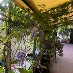 La Terrazza Turisctico Agata 3* シルミオーネ