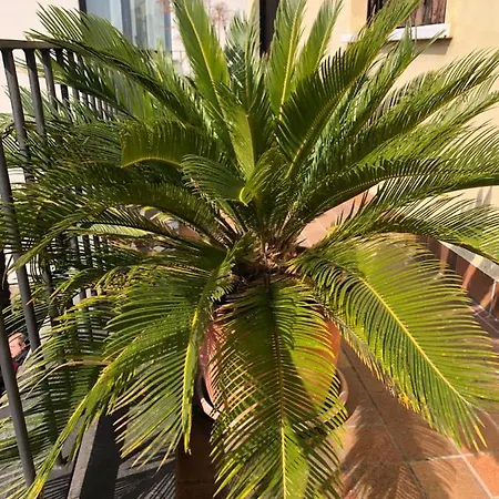 La Terrazza Turisctico Agata 3* Sirmione