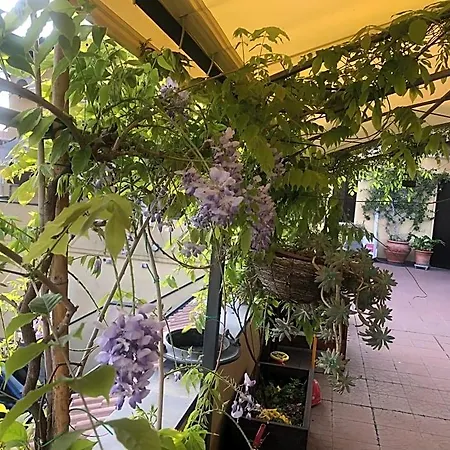 La Terrazza Turisctico Agata * 西尔米奥奈