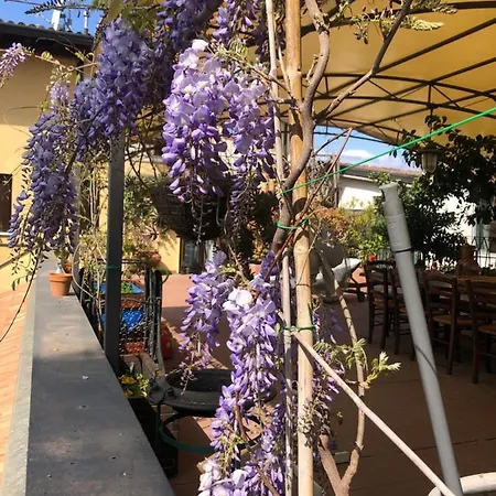 Bed & Breakfast La Terrazza Turisctico Agata Sirmione