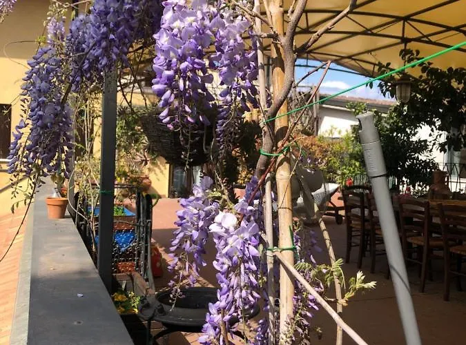 Bed and breakfast La Terrazza Turisctico Agata Sirmione
